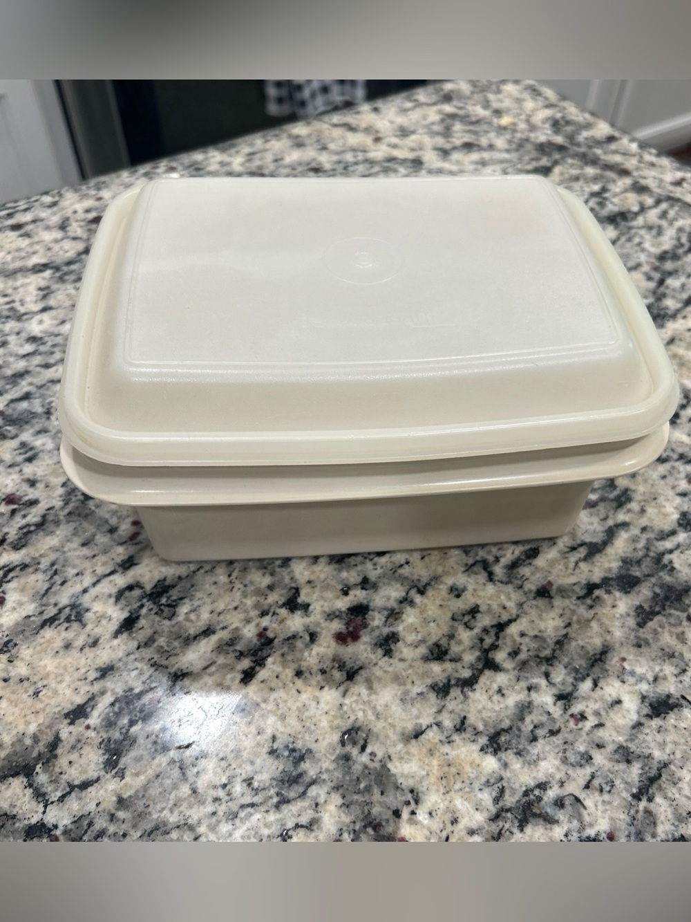 Vintage Tupperware Ice Cream Keeper Freeze N Save Container with Lid Almond